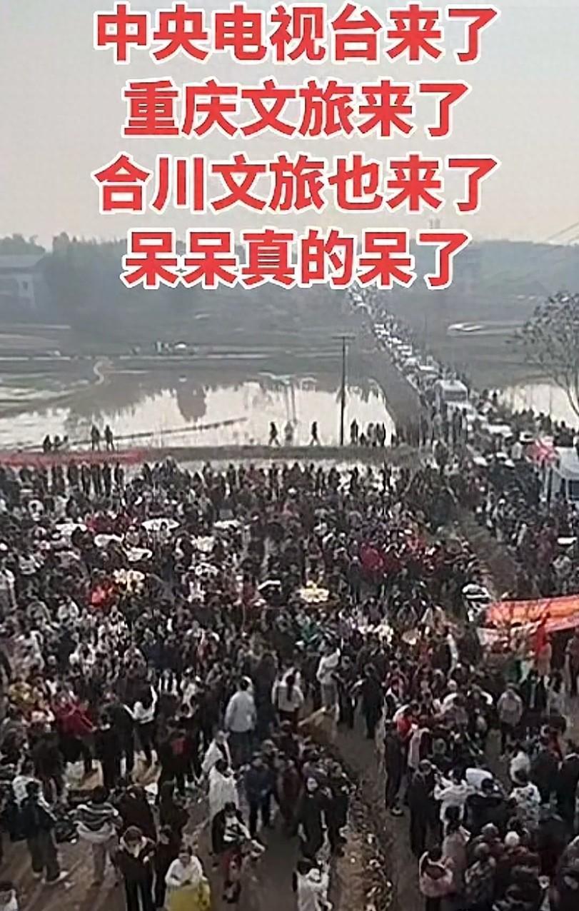 开云-央视车被堵外面，人民日报下场，白衬衫守护，呆呆成为历史第一人